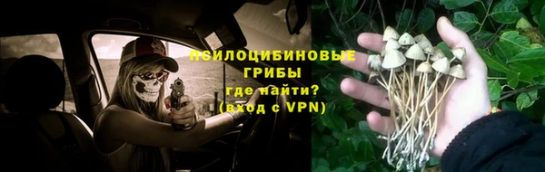 бутират Вяземский