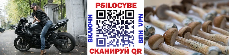 цена   Чегем  Псилоцибиновые грибы мицелий 